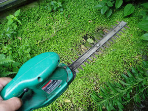 生垣用電動バリカン