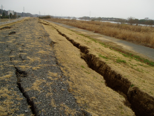 勝田の下水処理場上流の堤防の様子です
