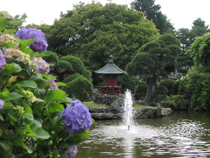水戸のあじさいまつり　保和苑