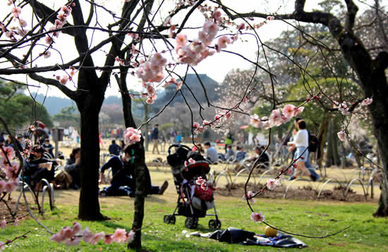 偕楽園　好文亭