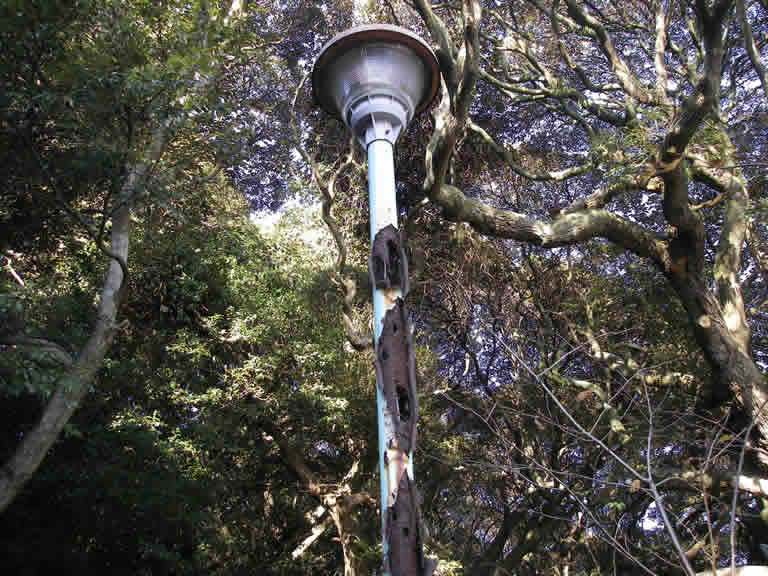 大洗磯前神社の水銀灯